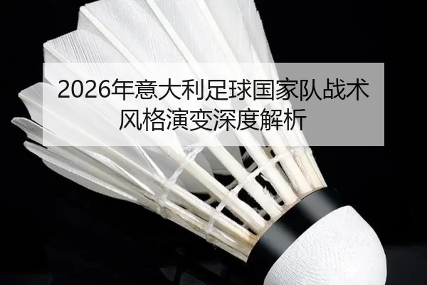 2026年意大利足球国家队战术风格演变深度解析